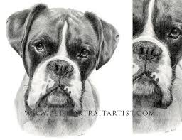 How to draw a labrador face step by step, learn drawing by this tutorial for kids and adults. Pencil Drawings Of Boxer Dogs Pencildrawing2019