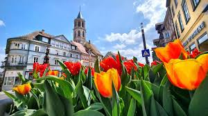 Check spelling or type a new query. Fotos Gesucht Schicken Sie Uns Ihre Schonsten Fruhlingsbilder Aus Rottweil Und Umgebung Rottweil Umgebung Schwarzwalder Bote