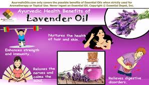 Applying this mixture every day before going to bed and right after the. Chemical Constituents Of Lavender Oil Essential Oil
