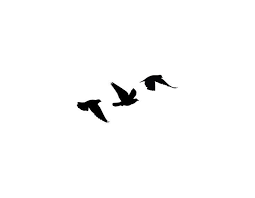 3 Black Bird Tattoo Meaning 09db7aad41306c74e33bf751c93fdf4d Jpg 736 572 Silhouette Tattoos Fliege Tattoo Vogel Tattoo
