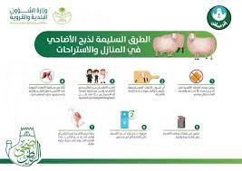أخبار 24 أمانة الرياض ت حذر من المسالخ العشوائية وت وضح الطريقة الصحيحة لذبح الأضاحي في المنازل