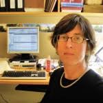 The Rest of the Story