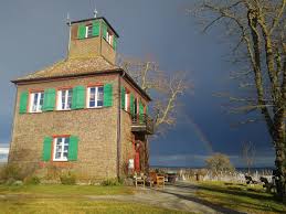 Cruiser bikes are the most commonly rented bikes in cities or vacation destinations as they allow you to explore an area and have fun doing it. Bicycle And E Bike Rental At Lake Constance Near Constance Bootsvermietung Reichenau Bodensee