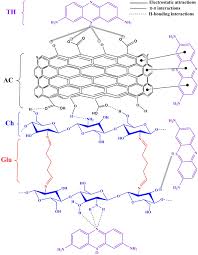Fabrication Of Schiff S Base Chitosan Glutaraldehyde Activated Charcoal Composite For Cationic Dye Removal Optimization Using Response Surface Methodology Springerlink