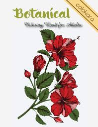 Flower coloring pages make the day bright and sunny for me. Botanical Coloring Book For Adults Flowers And Plants Coloring Pages Easy Adult Coloring Book Large Print Colokara 9781729611890 Amazon Com Books