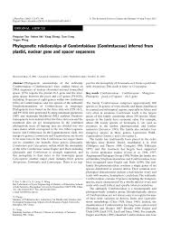 Image result for Strephonema mannii