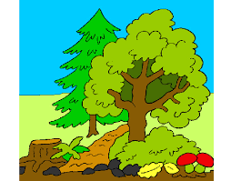 Ver más ideas sobre paisaje a lapiz pintura y dibujo dibujos paisajes a lapiz. Dibujos De Paisajes Para Colorear Dibujos Net