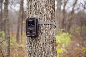 Check spelling or type a new query. How To Choose Wireless Trail Cameras That Send Pictures To Your Phone