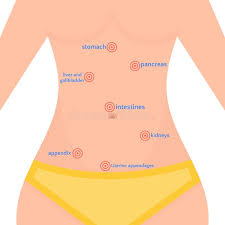 Maybe you would like to learn more about one of these? Women Body Types Stock Illustrations 462 Women Body Types Stock Illustrations Vectors Clipart Dreamstime