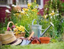 We did not find results for: Jardinage En Octobre Conseils Et Travaux Au Jardin