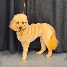 Let's welcome our new members! Jacob Walz, Jacqueline D'Vonna, Brianna  Hair, Vic Palmerton, Tessa Deshano, Jerome Alan, Bettina Leivo, Megan  Cohoon, Danielle Swiecicki- Julian, Bre Kelly, Corey Deming, Shelly Lenz,  TK Dumpsters,