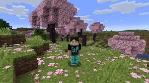 Vanilla Minecraft Server