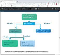 Image result for Group D Streptococcus