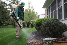 Reviews from perfection landscaping employees about perfection landscaping culture, salaries perfection landscaping employee reviews. 99ow Wdl7efkpm