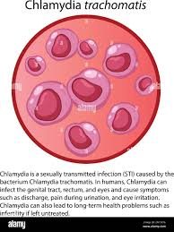 Image result for Chlamydia Trachomatis