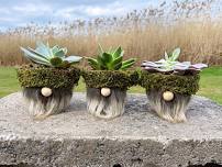 Gnome Pots + Succulents Workshop
