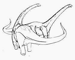 You can draw directly, print it on paper or download the computer to draw. Dinosaur Egg Clipart Diplodocus Coloring Page Hd Png Download Kindpng