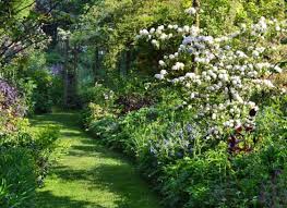 Le Jardin Des Lianes Garden Inspiration Garden Plants