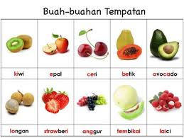 (terms related to names are described in english names in the section vocabulary.) Malay Learn About Fruits Mengenali Buah Buahan By Blessed Prince By Jm