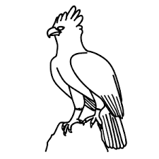 Check spelling or type a new query. Learn How To Draw Animals Step By Step Page 133
