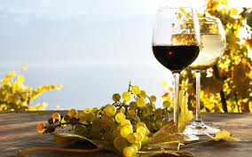 121744 High Resolution Wallpapers Widescreen Wine Wine Tasting Red Wine Wine Drinks