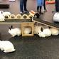 RRMN Romp & Spa/Nail Trim Event - Wednesday event image