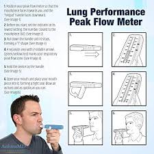 Quest Asthmamd Lung Performance Peak Flow Meter Measures