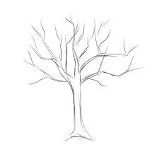 How To Draw A Tree Best Cool Funny Tree Drawing Trees Drawing Tutorial Tree Drawing Simple