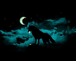 Dark Wolf Wallpapers Top Free Dark Wolf Backgrounds Wallpaperaccess Wallpaper car hd 1080x1920 for iphone, mobile, android with high resolution. dark wolf wallpapers top free dark