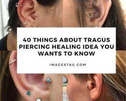 40 Things About Tragus Piercing Healing Idea You Wants To Know Tragus Piercings Piercing Tragus