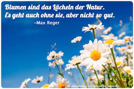 · suche zitat des tages iknews. Der Kleine Gartenphilosoph Spruche Zum Nachdenken Fur Den Juni Butenas Holzbauten