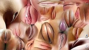 New videos added every day! Cameltoe Free Porn Tube Xvidzz Com