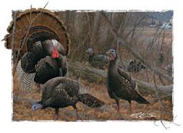 Turkey Shirt Wild Turkey Scene T Shirt Quilt Fabric Block Etsy Turkey Shirts Turkey Drawing Wild Turkey