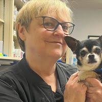 Grove Veterinary Clinic of Newport