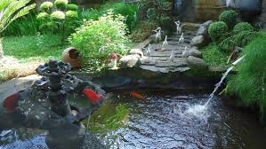 Kolam Ikan Minimalis Kolam Ikan Taman Indah Luar Ruangan
