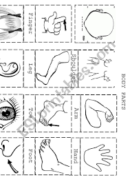 Cut out the bills and coins on the first page. Body Parts Cut Paste Esl Worksheet By Mystery Sea