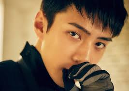 I i love when you sing kiyomi you where very. Exo S Sehun Confirmed To Star In Pirates 2 With Kang Ha Neul Lee Kwang Soo More Allkpop