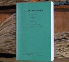 Image result for Diheteropogon microterus