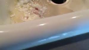 Can i take breast milk out of the fridge and put it back? What Happens When You Leave Milk Out For Too Long Youtube