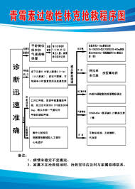 buy penicillin anaphylactic shock rescue flow chart