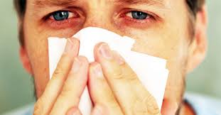 Maybe you would like to learn more about one of these? Is It A Cold Or Sinusitis Learn To Spot The Symptoms Of A Sinus Infection