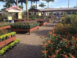 Send flowers for any occasion. Butterfly Pavilion At Flamingo Road Nursery Davie 2021 All You Need To Know Before You Go With Photos Tripadvisor