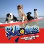 Sup Dogs Paddleboard and Kayak Rentals from www.facebook.com