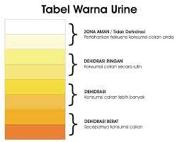 Berbeda dengan warna kulit di sekitarnya yang kuning langsat. Mengapa Air Kencing Berwarna Kuning 101 Berita