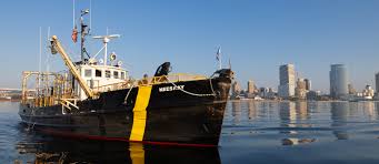 Image result for Dark Yellow Green 2024 Fleet