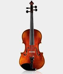 Image result for Viola