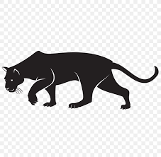 Check spelling or type a new query. Black Panther Drawing Sketch Png 800x800px Black Panther Animal Figure Art Big Cats Black Download Free
