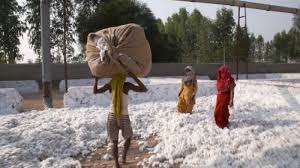 Regarder la rediffusion gratuite des émissions de la deuxième chaîne tv française sur vous pourrez revoir tous ces programmes de france 2 en replay sur notre site. Replay Tout Compte Fait Tout Compte Fait Mode La Face Cachee Des Petits Prix Du France 2