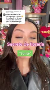 Se Puede Congelar Las Rosas