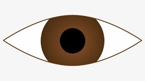 Cartoon brown eyes clipart is a handpicked free hd png images. Brown Eyes Png Images Free Transparent Brown Eyes Download Kindpng
